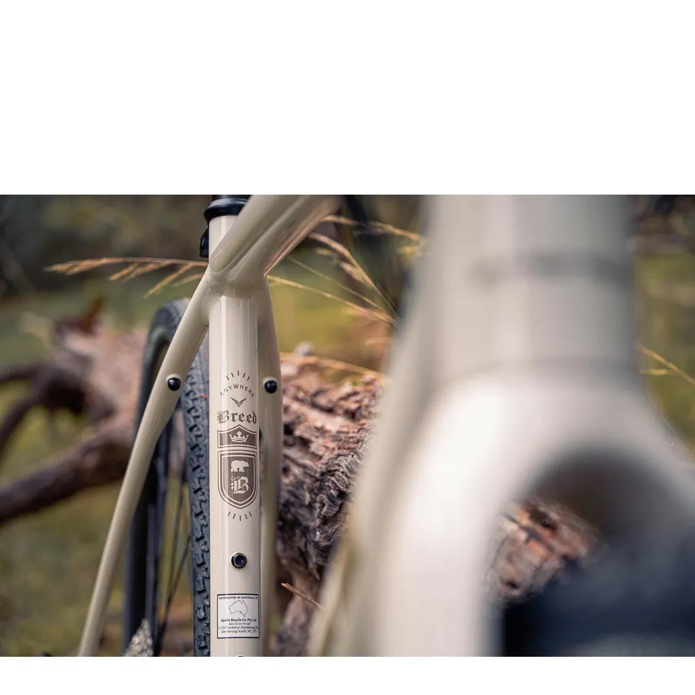 Felt Breed 30 Gravel Bike - Putty - Image 2